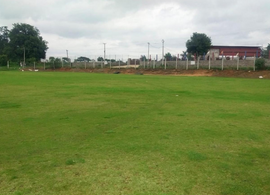 One Champion Cricket Ground 1